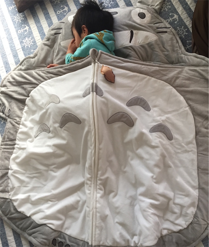 トトロの寝袋が可愛いし布団蹴飛ばさないし昼寝に最適！ | ヒノクニッキ